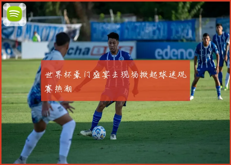世界杯豪门盛宴去现场掀起球迷观赛热潮
