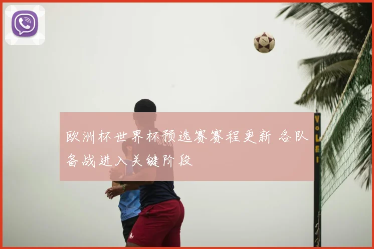 欧洲杯世界杯预选赛赛程更新 各队备战进入关键阶段