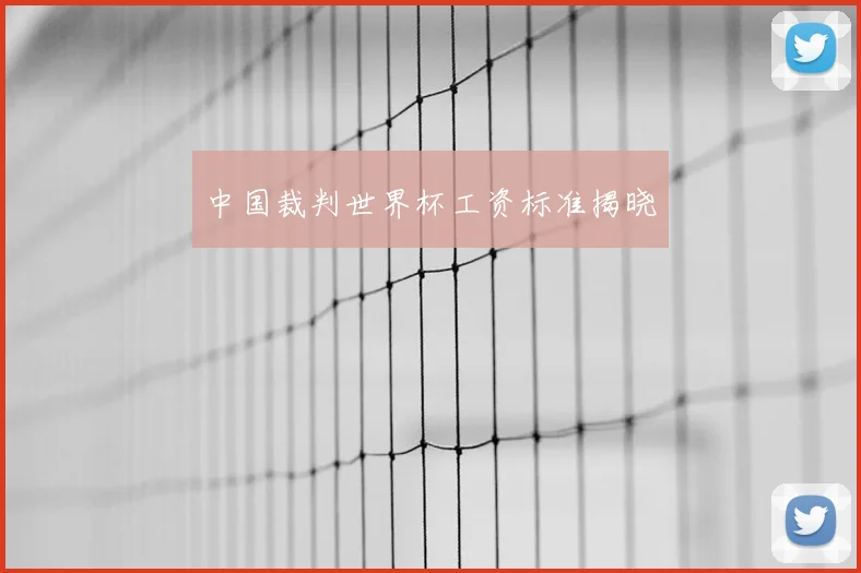 中国裁判世界杯工资标准揭晓