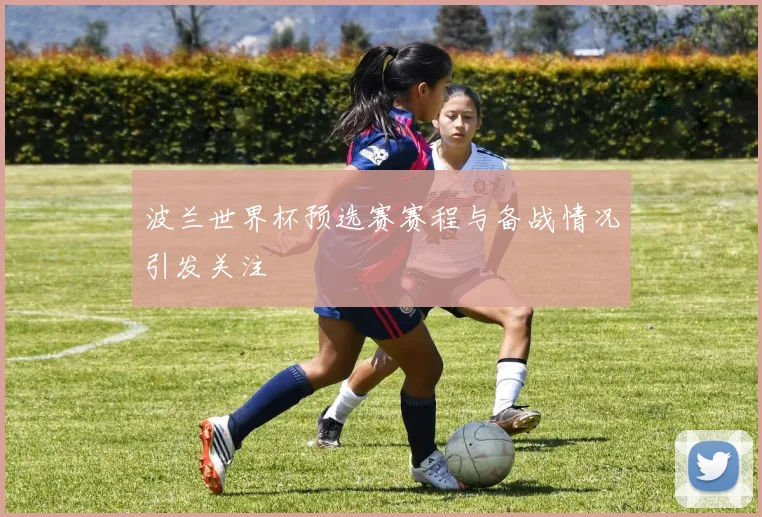 波兰世界杯预选赛赛程与备战情况引发关注
