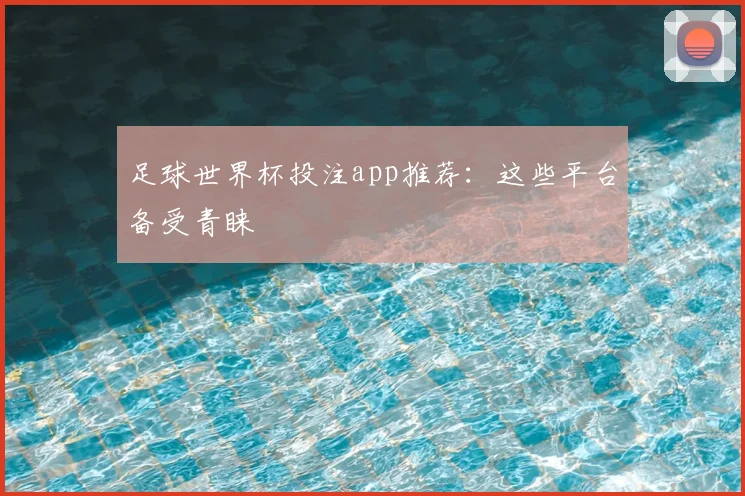 足球世界杯投注app推荐:这些平台备受青睐