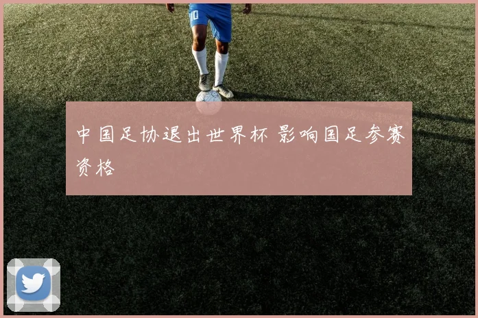 中国足协退出世界杯 影响国足参赛资格