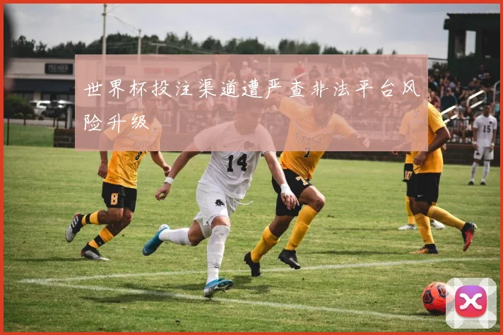世界杯投注渠道遭严查非法平台风险升级